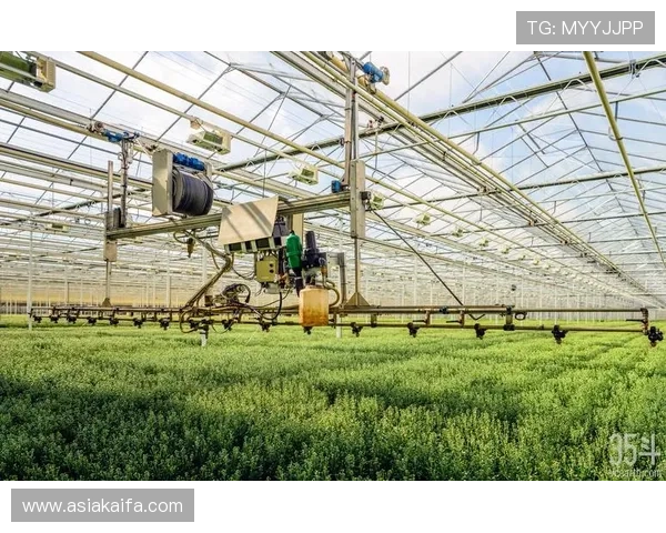 凯发中国:优化用户体验的创新技术应用与平台功能升级方案详解